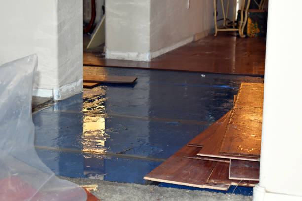 Professional Water Damage technician working in Bannister, MI
