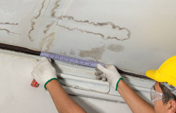 Reliable Water Damage contractor in Bannister, MI by Water Damage Irwin